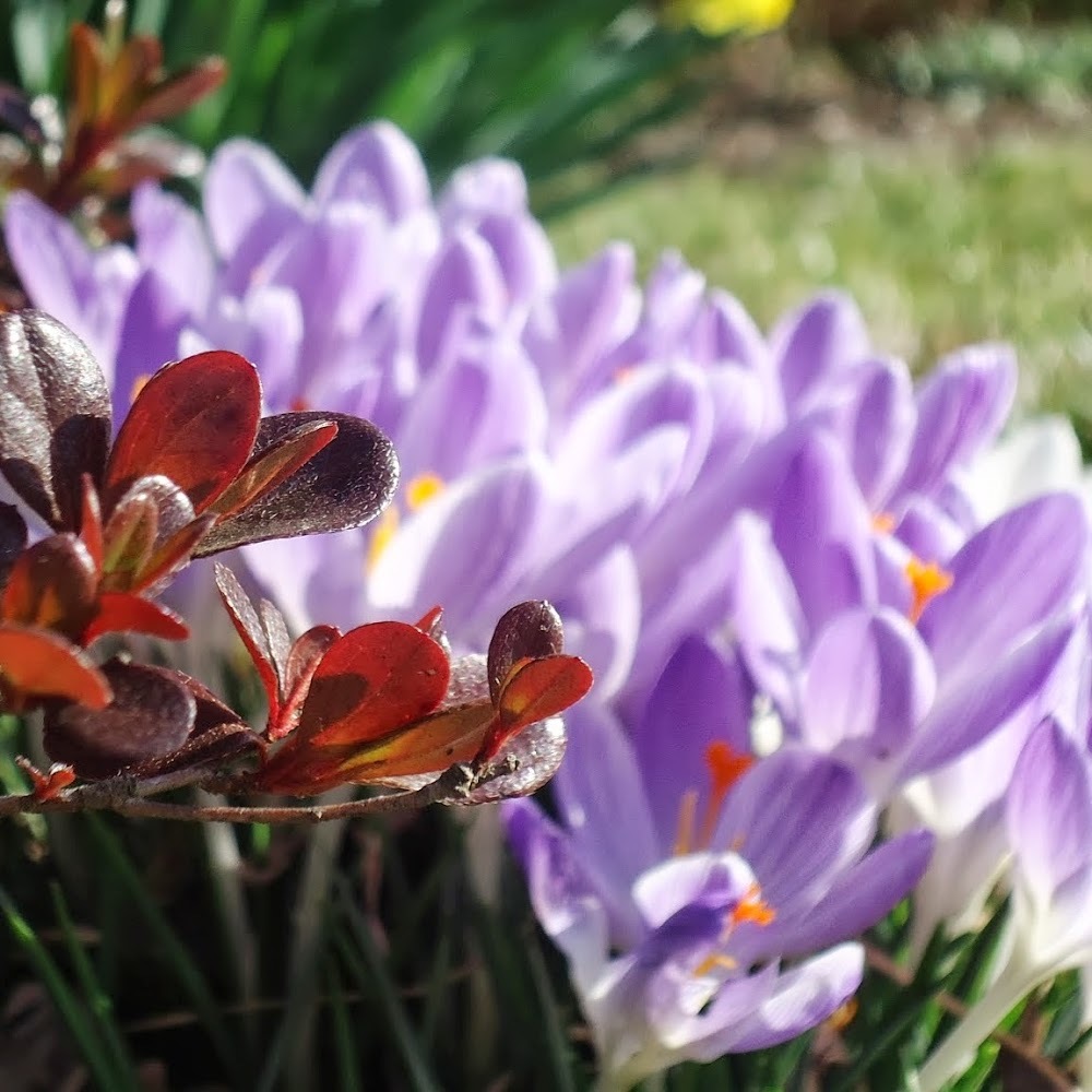 Meet your Posher, Mila